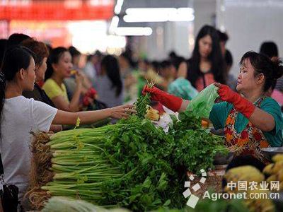 农产品价格波动与市场监管强化，背后的原因及应对策略探究