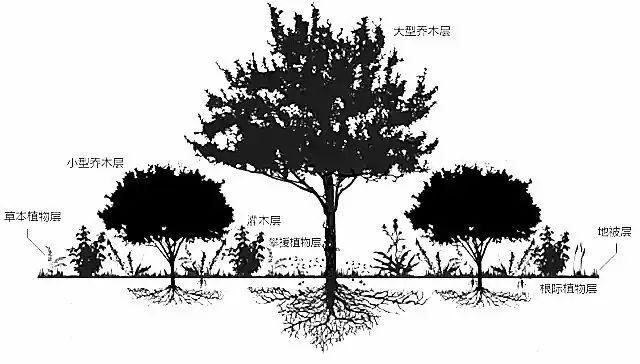 高科技农场引领农业生产效率革新篇章