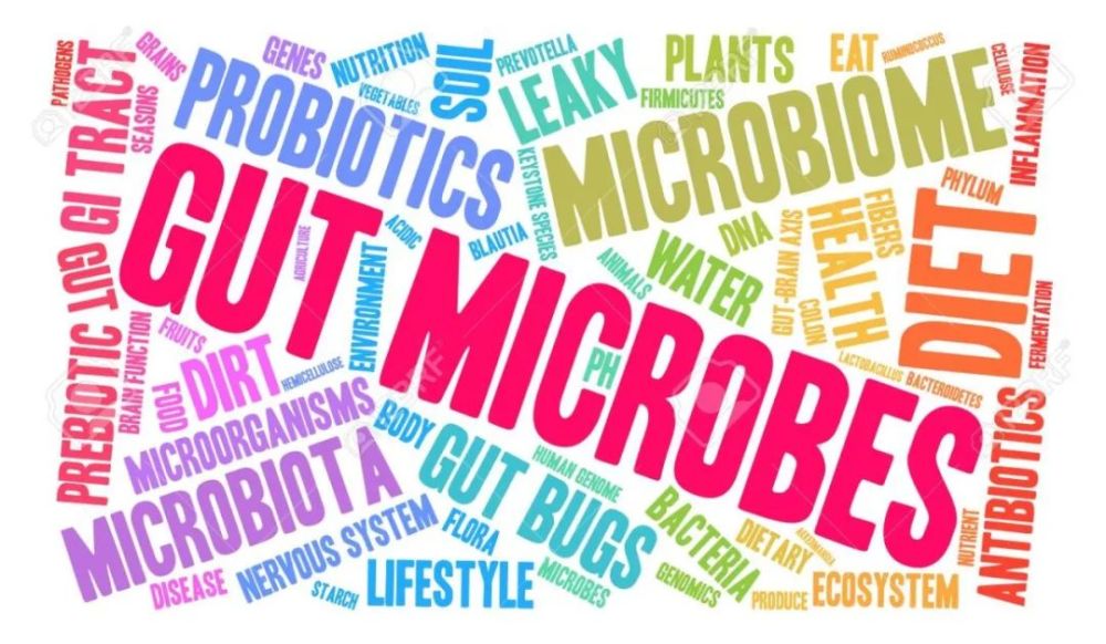 益生菌市场持续增长，关注肠道健康的重要性