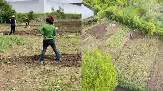 法国市长与中国勤劳大姐的荒地种菜故事，跨越文化的共鸣