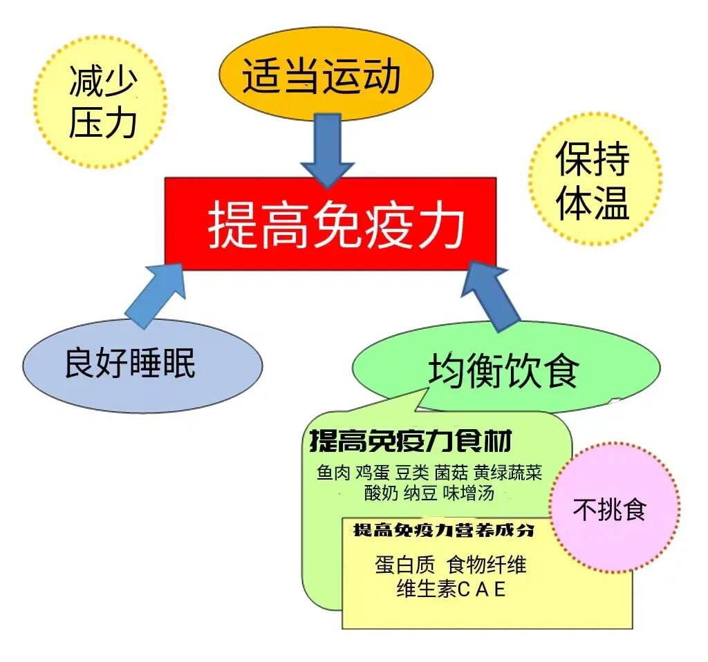 儿童体质调理与免疫增强养生法全攻略