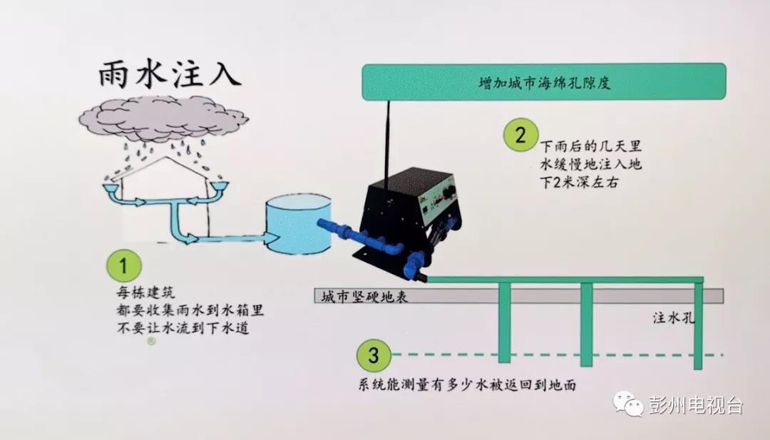 雨水利用家庭灌溉指南