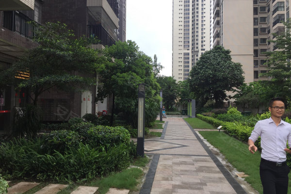 佛山小区夜遇鸟屎雨困扰，探寻原因成焦点