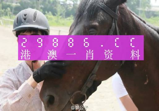 澳门一肖一码一必中一肖....,优化规划方案实施_锐见版24.49.57