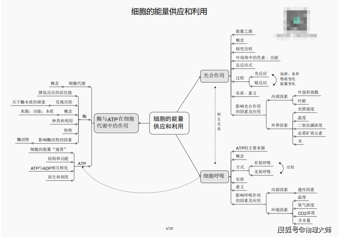 新澳门三期内必出生肖,数智管理创新提速案_启航未来29.53.94