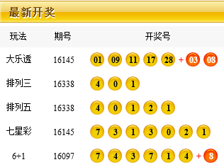 2024新澳今晚开奖号码139,高效优化路径方案_豪华版56.23.64