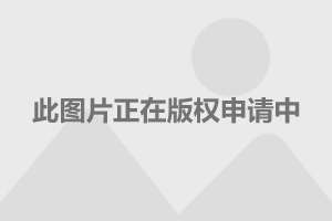 大众网官方澳门香港网,技术提升操作指南_锐见版16.06.22