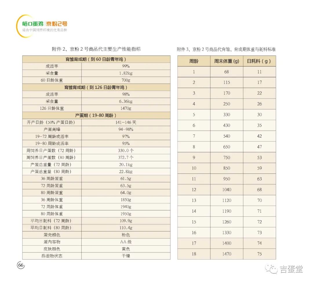 新澳2024年免资料费,数据驱动分析解析_android02.937