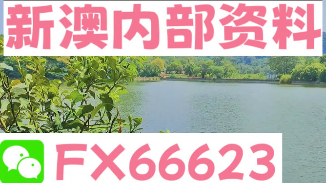 新澳精准资料免费提供265期,综合管理高效执行方案_布局蓝图36.74.87