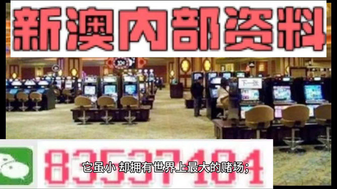 2024新奥资料免费精准资料,智能型管理流程优化_未来版41.72.32