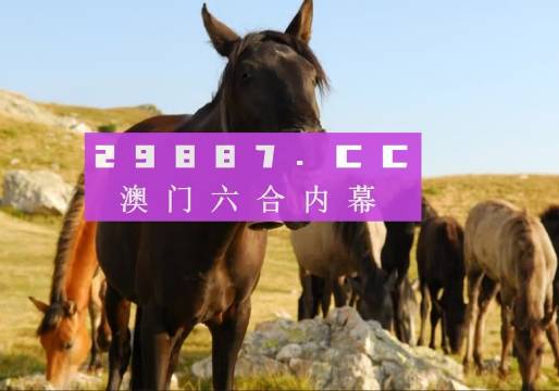 新澳门管家婆一肖一码,技能策略智慧掌控_睿智版36.04.17