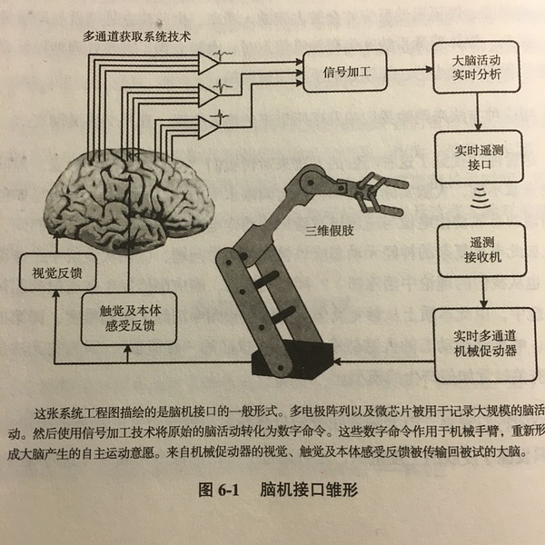 脑机接口技术的应用及其伦理挑战探讨