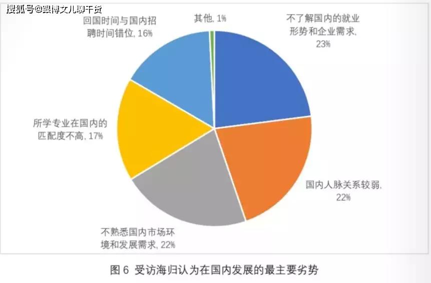 留学生就业难题与多元化发展路径探索