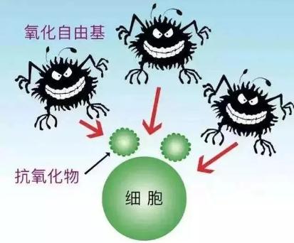 日常护肤抗衰老管理秘诀，轻松抵御岁月痕迹！