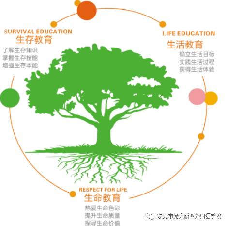 基础教育中的绿色可持续发展理念融入策略