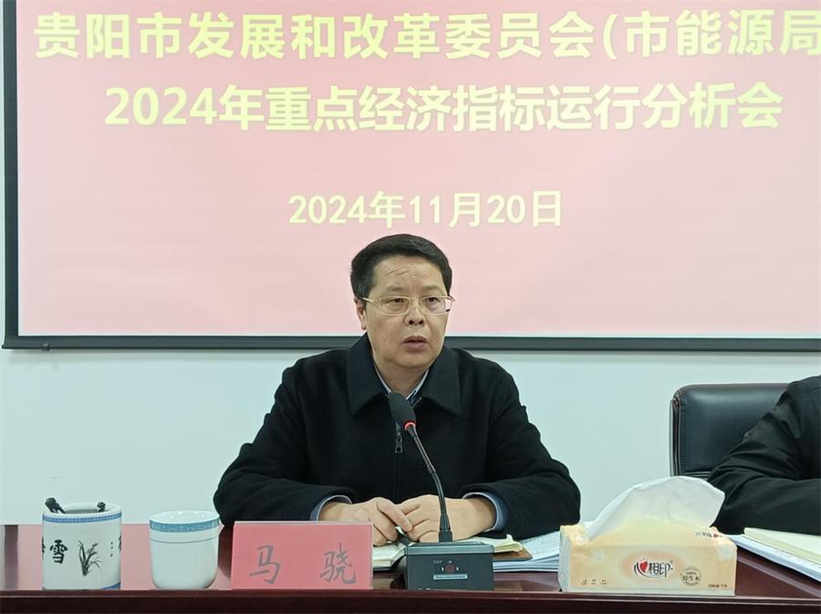 迈向未来的资料宝库，2024全年资料免费大全总览