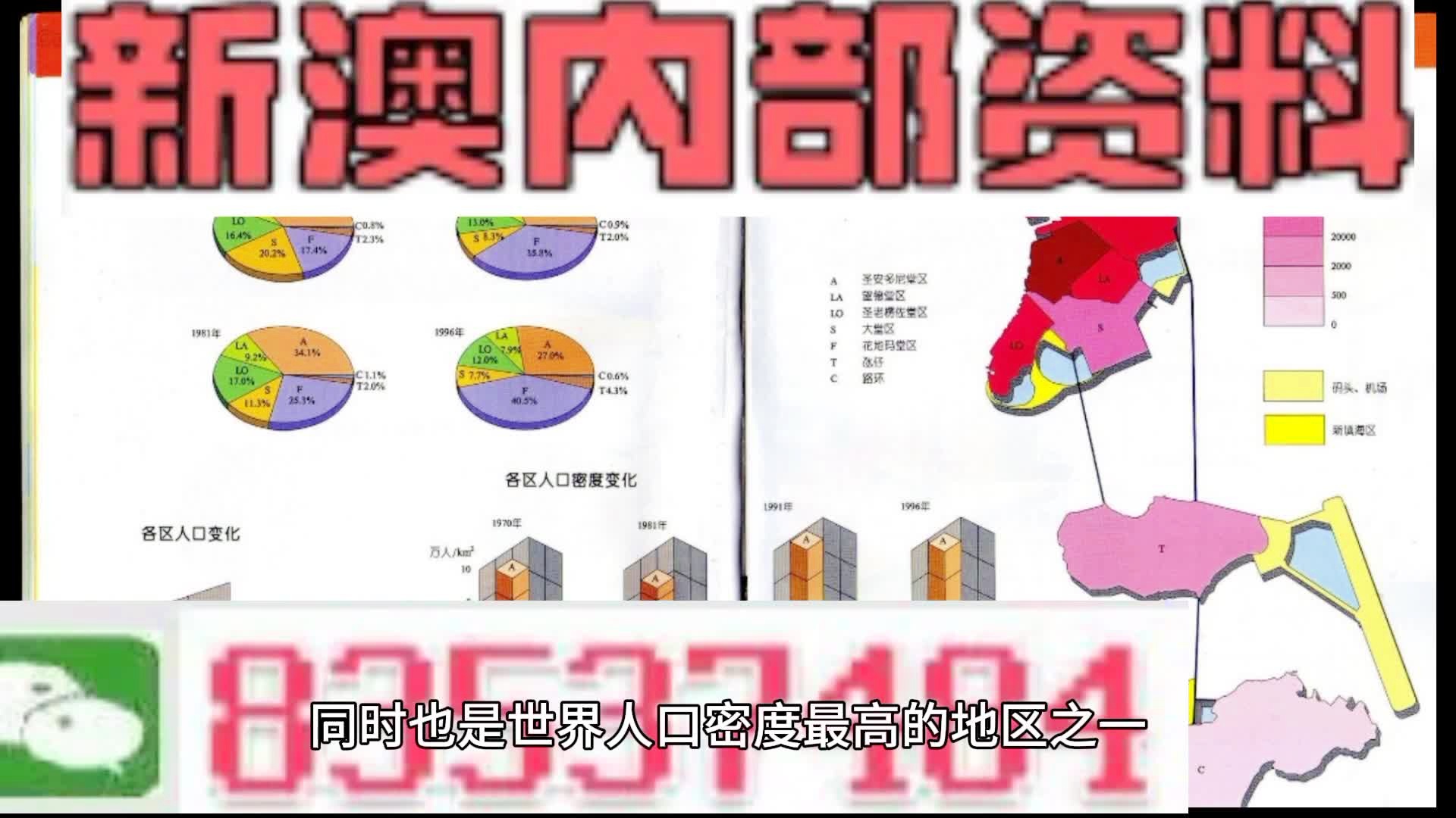 澳门新面貌深度解析，警惕违法犯罪问题风险