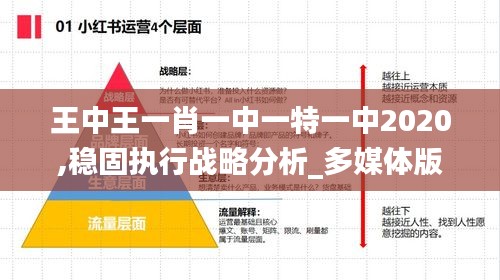 探寻卓越之路，王中王一肖一中一特一中2020历程回顾与展望