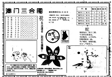 管家婆一码一肖王中王的违法犯罪问题探究