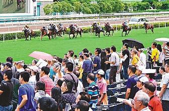 香港赛马资料更新速度与精准度，引领信息前沿的标杆