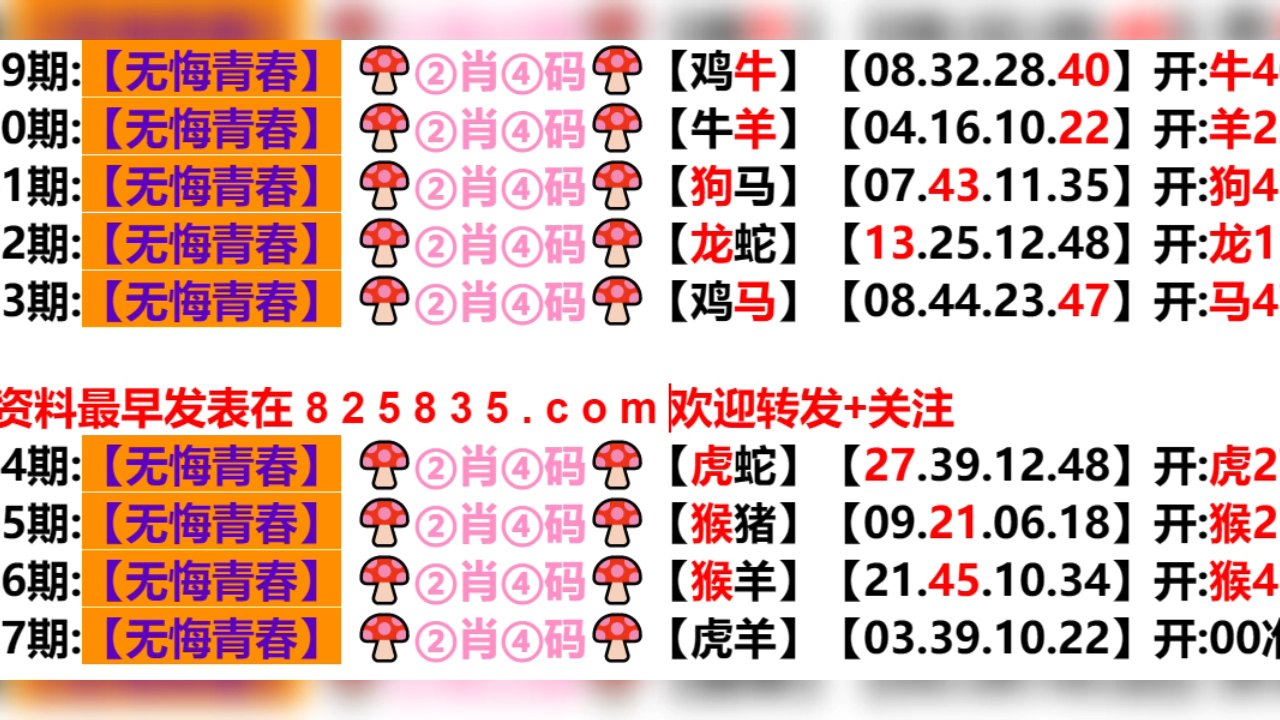 澳门天天开好彩背后的探索与挑战，五伏之迷与犯罪问题深度探讨