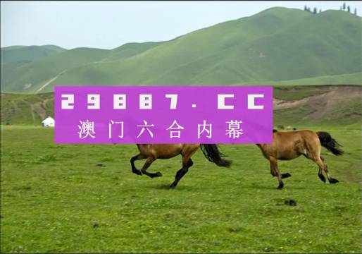 新版跑狗图探索，神秘数字组合的独特魅力