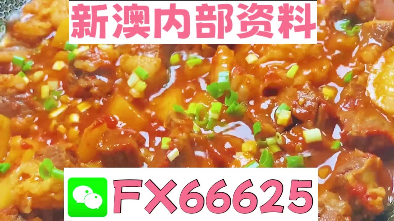 新奥免费精准资料大全，探索与利用指南