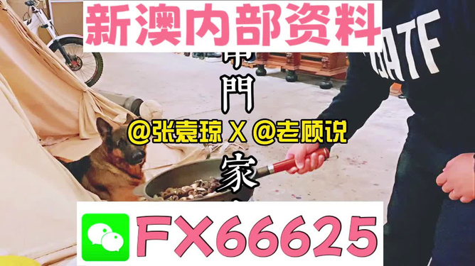 澳门管家婆，传统与现代家政完美融合典范