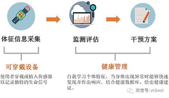 智能技术在个人健康管理中的全面应用