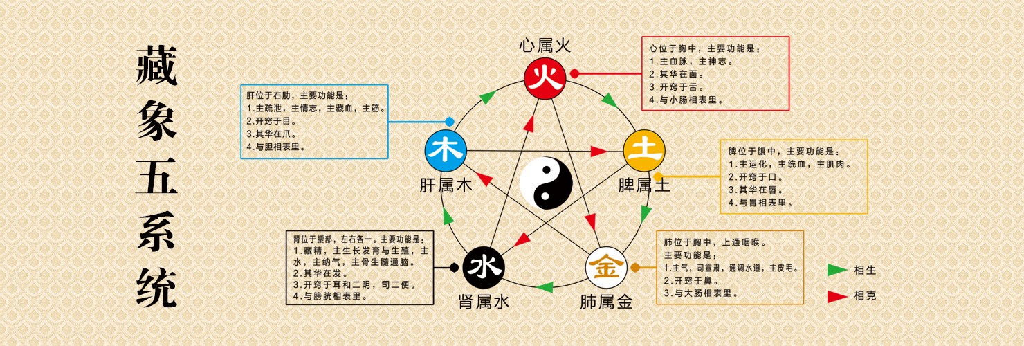 中医养生的核心理念与实践方法解析