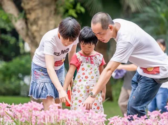 家庭教育，如何提升孩子应对问题的能力