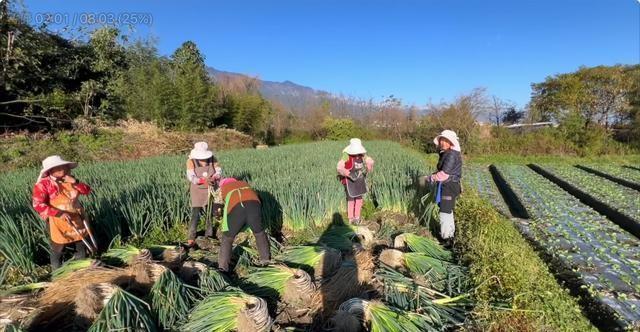 科技创新助力缩小经济发展区域差距