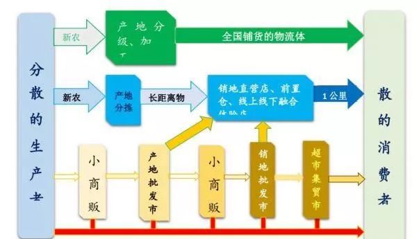 共享经济低碳化发展潜力深度解析