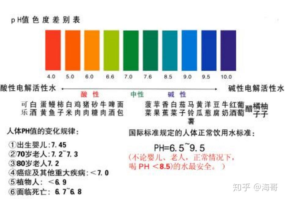 如何通过食物调整身体PH值平衡健康状态