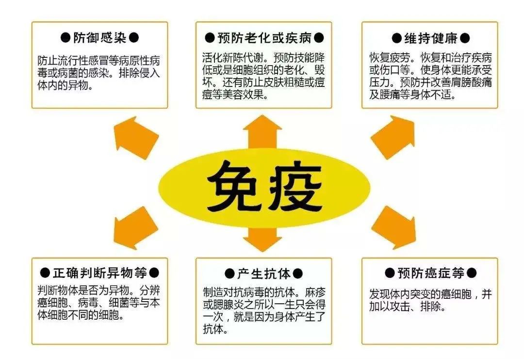 温柔阳光 第19页