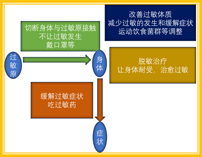 旅行中预防过敏反应的有效措施指南