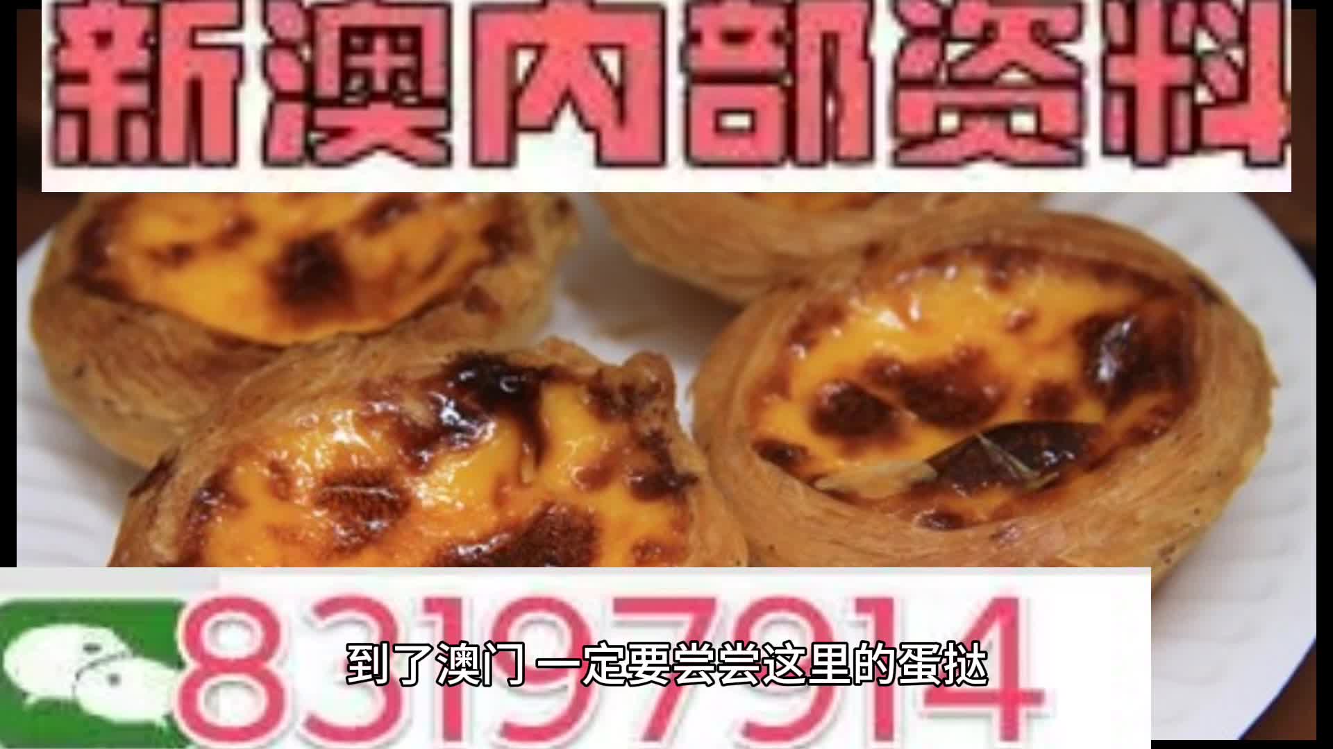 澳门免费资料大全，犯罪与法律边缘的探讨（2024年视角观察）