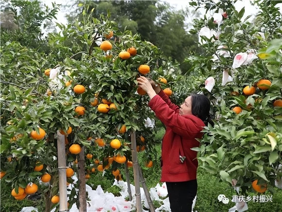 天下釆彩与你同行，资料分享、探索与共同成长之路