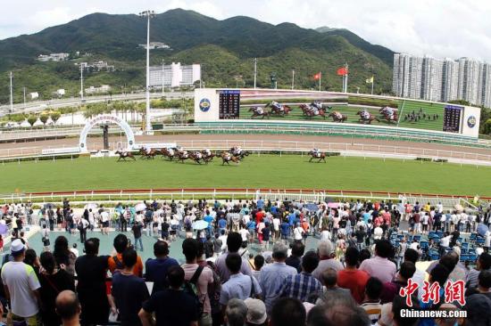 香港马会免费资料大全，探索赛马运动的魅力与珍贵资源