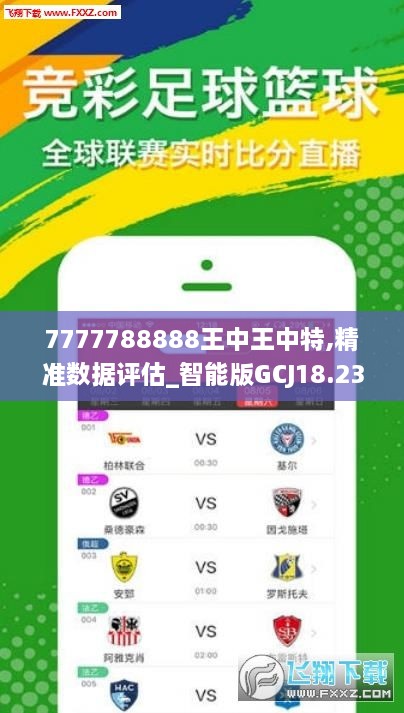 王中王ww493333WWW，探索之旅与启示之门