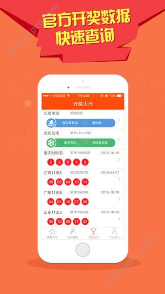 澳门天天开好彩大全app，探讨与风险警示