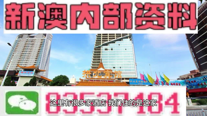 新澳2024彩票乐园，探索未来的正版免费体验