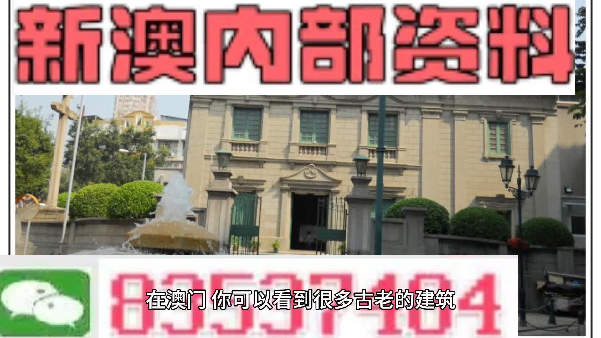 澳门内部资料精准揭示违法犯罪问题的重要性