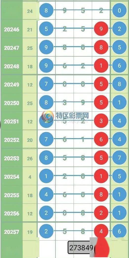 四肖期期准与四肖期准开背后的犯罪问题深度剖析