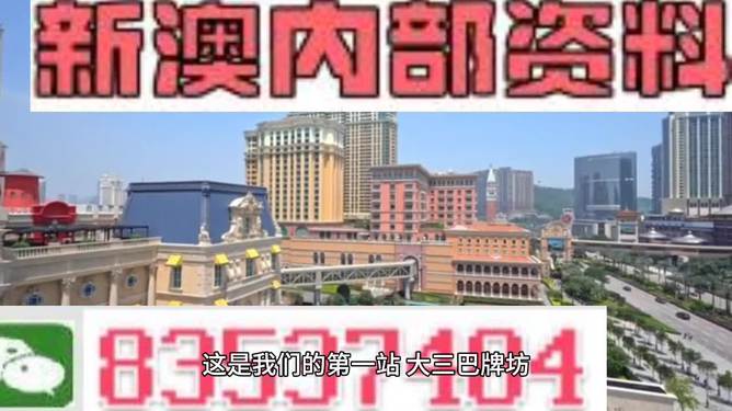 澳门资料全览与违法犯罪探讨