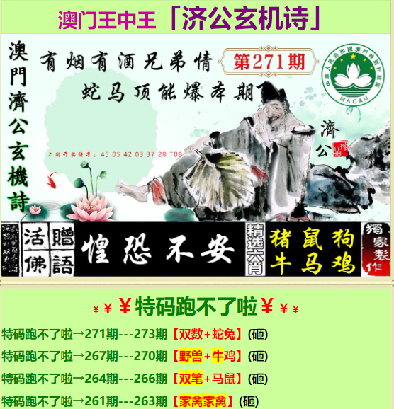 王中王新水资料，探索与应用前景展望