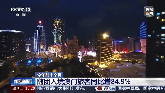 澳门2024年资料概览概览