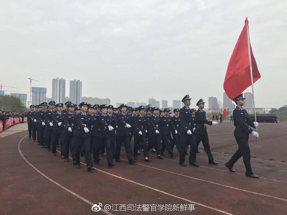 揭秘彩票预测神秘面纱，今晚四不像必中一肖图118预测揭秘