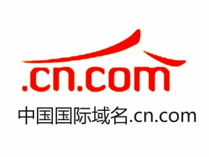 znshj.com.cn综合网站，魅力与功能的探索之旅