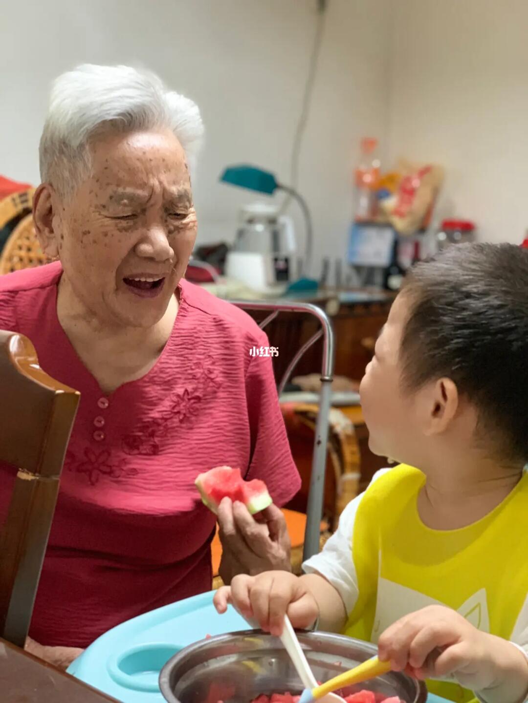 水果奶奶，正版资料的魅力与乐趣探索